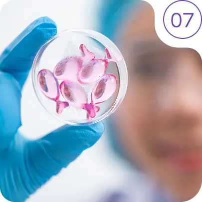 Regenerative Medicine & Stem Cells